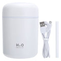 Mini USB Desktop Humidifier Y303811