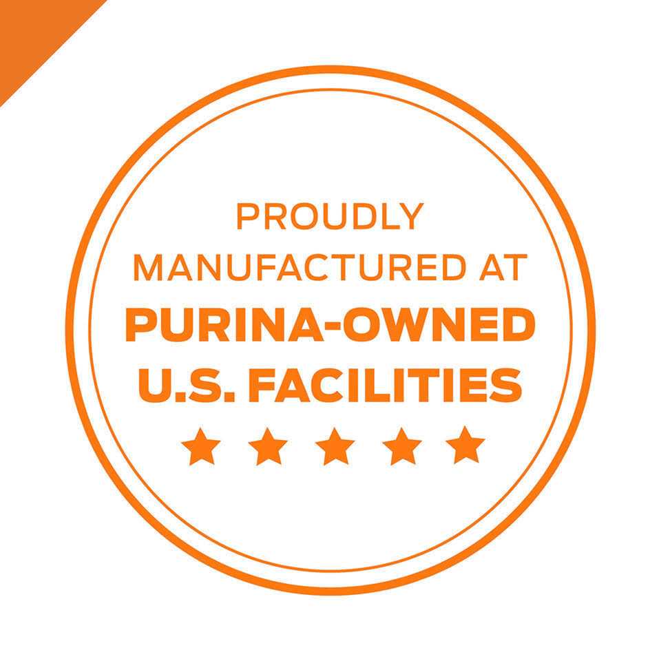 Cheese Entree in Gravy Cat Food J89931