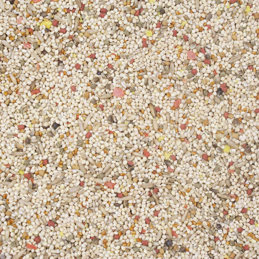 Parakeet Food K1430
