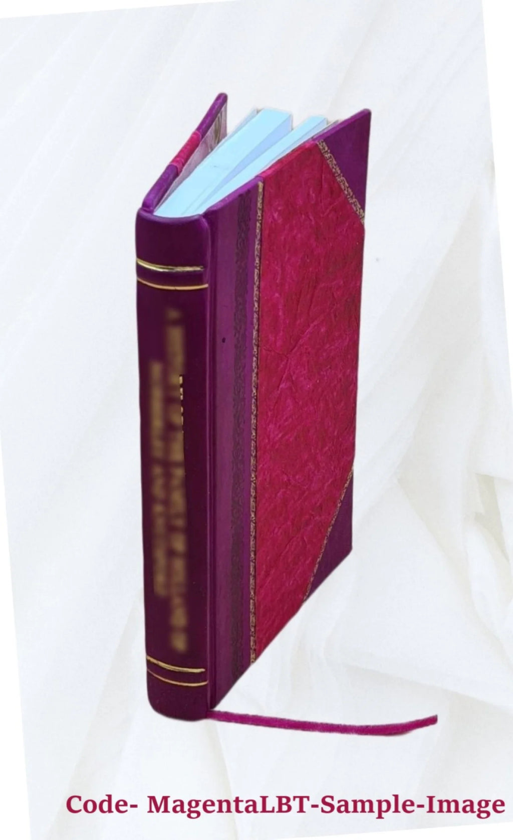 Leather Bound Book S371