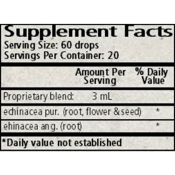 Echinacea W38860