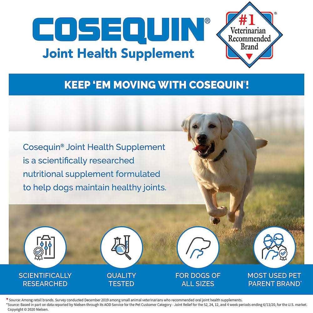 Joint Health Supplement for Senior Dogs S790