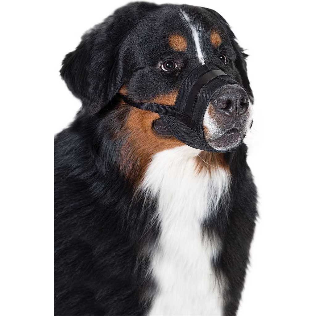 Dog Muzzle K2997