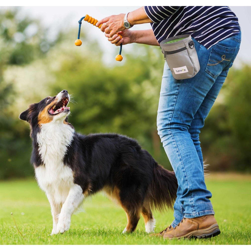 Treat Pouch C921