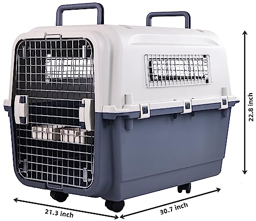 Plastic Airline Approved Travel Dog Crate, Medium X51977