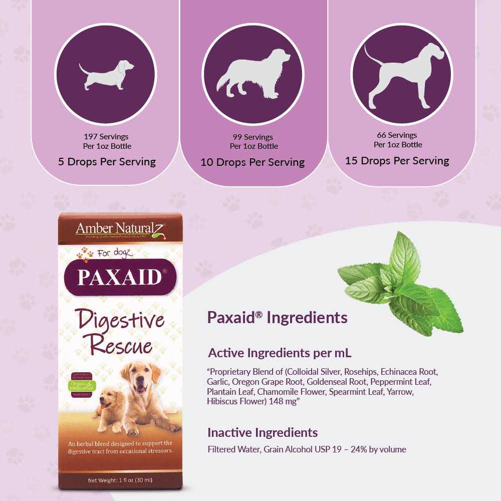 Paxaid Digestive & Immune Support Pet Supplies I1604