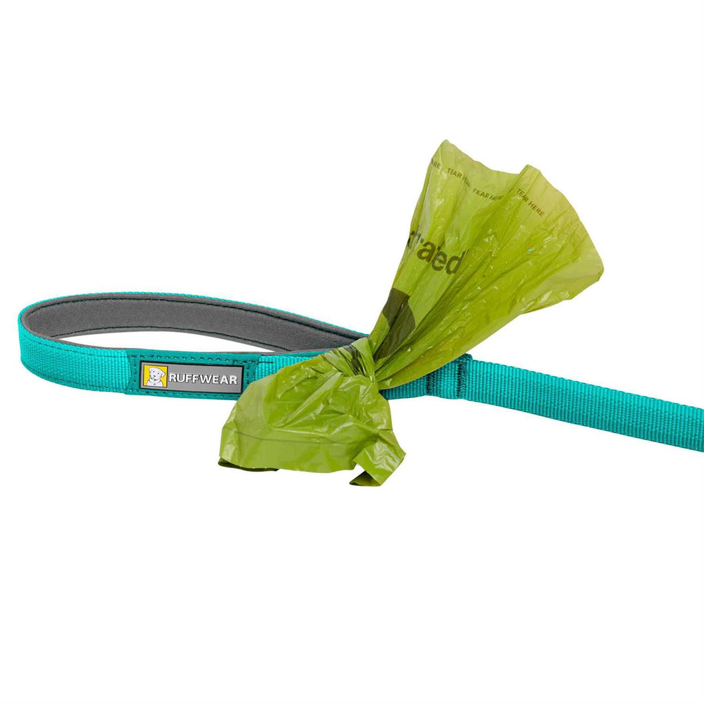 Leash C297604