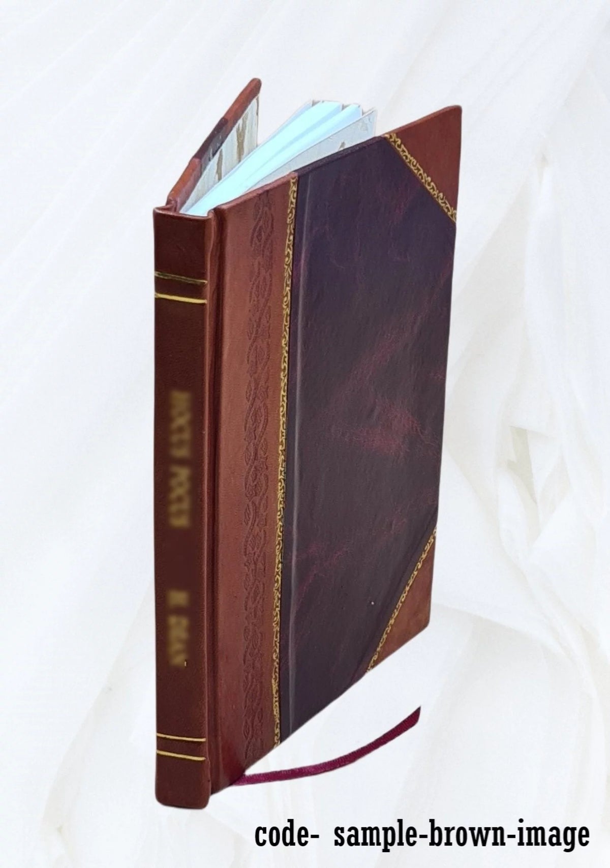 Scientific Institutions of Boston and Vicinity 1898 Leather Bound H638313