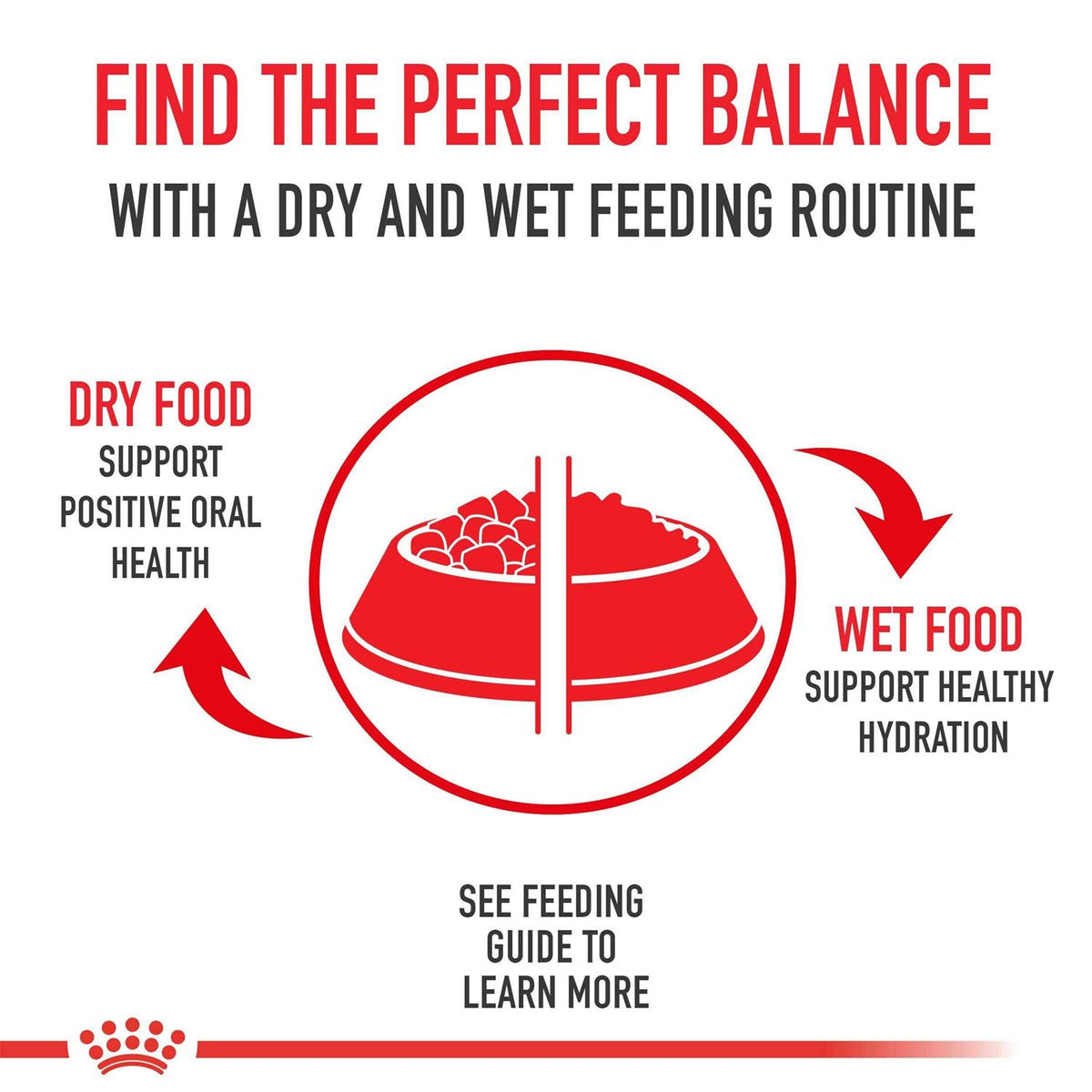 Adult Dry Dog Food E5345